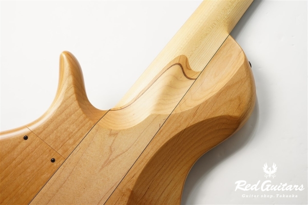 Platinum Series Single-Cut , e-volution 5 - Macassar Ebony